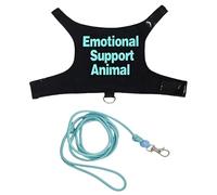 Multicolor Regulable Harnesses Suit Bearded Dragon Leashes Escape Proof For Bearded Dragon Outdoor Exploration Reptiles Outdoor Gear