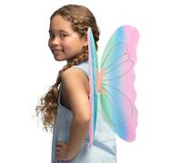 Multicolored butterfly wings