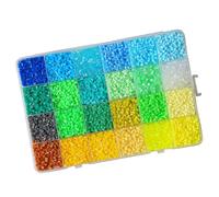 Multicolored Sorting Puzzle Bead Set with 24 Grids Storage Case 2.6mm Bead for Kid Art Craft Interactive Play Craft Beads