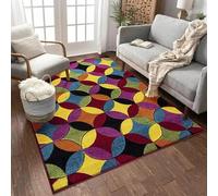 Multicolour Geometric Rug for Living Room Premium Polypropylene Carpet Soft Durable Anti Slip Washable Area Rug Modern Rainbow Scale Design for Bedroom Hallway and Home Decor Multiple Sizes