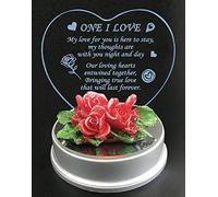 SAFRI Multicolour Led Lights One I Love Plaque Valentine's Day Gift Girlfriend Boyfriend GF BF Her Him Fiance Wife Present Gifts (Led Light One I love Plaque)