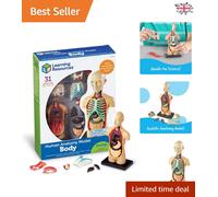 Learning Resources Anatomy Model Human Body, Ages 8+, 31-Piece Multicoloured Educational Science Model, Hands-On Learning for Kids