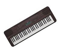 Multifunction Portable Electronic Piano 61-key Keyboard Piano With 384 Timbre For Beginner Keyboard Piano for Beginner (Color : 01)