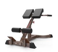 Multifunction Roman Chair Back Extension Machine Hyperextension Bench Abs Exercise Leg Strength Trainer For Home Gym Height Adjustable Max Capacity 300Kgs
