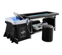 Multifunctional Beauty Salon Bed, Head Treatment Shampoo, Water Circulation Fumigation, Fully Automatic Smokeless Full Body Moxibustion, Professional Commercial Spa Use