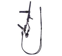 Multifunctional ethological halter QHP