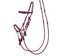 Multifunctional ethological halter QHP