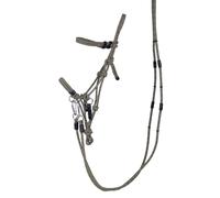 Multifunctional ethological halter QHP