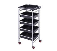 Multifunctional Handheld Trolley 5-Tier Kitchen Cart with Drawer for Beauty Salons 15kg Capacity Rolling Cart Silver 44x30x80cm - Versatile Storage Solution