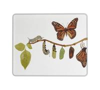 Multifunctional Mouse Pad, Monarch Butterfly Life Cycle Nature Watercolor Mouse Mat Rubber Keyboard Pad 25X30cm for PC Laptop Office