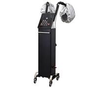 Multifunctional Nano Hair Steamer, 700W Professional Micro Mist Ozone Oil Treatment Dyeing Machine with 2 Steam Caps, Vertical Standing Hooded Processor for Deep Conditioning(Black)