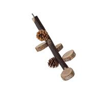 Multifunctional Parrots Stand Grinding Scratchers Toy For Conure Toy Pinecone Standing For Parrot Bird Cage Accessories Wood Chew Perch Stand Parakeet