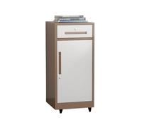 Multifunctional Vertical File Cabinet with Lockable Steel DrawersOffice Storage Solution Under Desk Ideal for Organizing Documents and Supplies (Bruin)