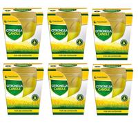 Multipack - Garden Citronella Glass Jar Candle - Outdoor Insect Repellent by Pestshield (6, Citronella Candle)