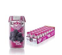 Multipack Radnor Fruits Spring Water Bulk 24x 200ml No Added Sugar Low Calorie Drinks- Perfect Drinks for Kids Birthday, Christmas or for Any Occation (Forest Still)