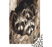 Multiple Raccoons Looking Out from A Tree Hole,Rätsel Für Erwachsene 38x26cm/1000pcs,Herausforderungsspiele