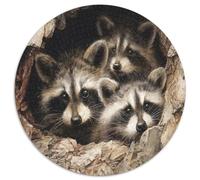 Multiple Raccoons Looking Out from A Tree Hole Rätsel Für Erwachsene || Familienspaß-Puzzles 1000pcs (67.5x67.5cm) Erwachsene