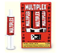 Multiplex Syringe - 3 x 50g