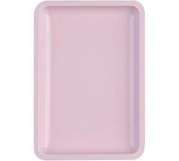 Multipurpose Stainless Steel Tray For Nails Care And Brushes Elegant Storage Plate Tray False Nails Dish Tools