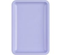 Multipurpose Stainless Steel Tray For Nails Care And Brushes Elegant Storage Plate Tray False Nails Dish Tools
