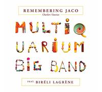Multiquarium Big Band Feat. Biréli Lagrène - Remembering Jaco