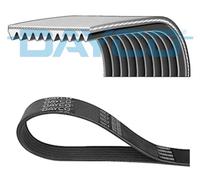 Multiribbed belt DAYCO 8PK1555HD fits Renault 7421371744 VOLVO 21371745 22670503
