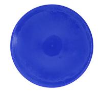 Multizenic 10pcs Sports Floor Spots Marker, Flat Disc Marker for Tennis Soccer Training, Bright Color PVC Spot Markers with Round Edge, Reusable Field Cones for Indoor Outdoor (Blue)