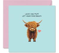 Mum Birthday Card - Let Your Hair Down - Happy Mother's Day Card for Mum from Son Daughter, 145mm Funny Humour Pun Bday Greeting Cards