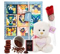 Mum Birthday Gifts 9pk Coffee Gift Set Instant Coffee Selection,Creamy Chocolate Coffee, I Love You Mum Teddy, Flower Rose & Card - Mothers Day Gifts, Christmas, Valentines, Grandma or Mother in Law