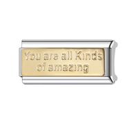 Mum Dad Family Friend Rose Gold 18K Superlink Long Double Size Width Love Birthday 9mm Italian Link Charm Compatible With Nomination Bracelet Womens (You Are All Kinds Of Amazing 18k)