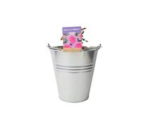 Mum in a Million Rose Bush - Fragrant Pink Shrub Rose in Pot - Metal Zinc Pail