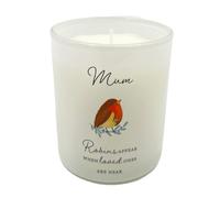 Mum Memorial Robin Wax Candle Graveside Grave Ornament