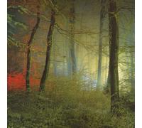 Mum - Sincerely Yours Part One [12" VINYL]