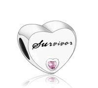 Mum Sister Family Mom Grandma Friend Dog Cat Love You Heart Charm Bead Pendant 925 Sterling Silver Compatible With Pandora Charm Moments Bracelet (Survivor Cancer Mental Health)