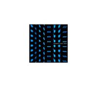MUMDANCE & LOGOS: PROTO - LP vinyl BRAND NEW