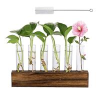 mumisuto Glass Plant Propagation Station, 6 Test Tube Hydroponics Growing System, Flower Vase And Wood Stand Rack Tabletop Terrarium for Hydroponic Plant Cutting Holder Office Home Decoration