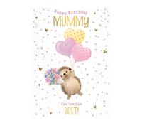 Mummy Birthday Card - You're the Best - Hedgehog and Balloons Design - Special Finish and Illustrated Insert Leaf - Made in the UK - Eco-Friendly
