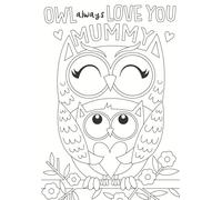 Mummy Owl Love You Colour-Me-in Mother's Day Greeting Card with Stickers MCOL004