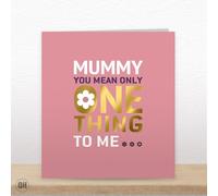Mummy, You Mean Only One Thing To Me Everything!