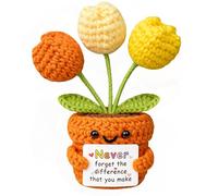MuMyer Positive Crochet Tulip Flower, Handmade Emotional Support Knitted Tulip Flowers Inspirational Gift for Women - Thank You, Appreciation, Positive Gift for Teacher, Mom, Friend, Coworker