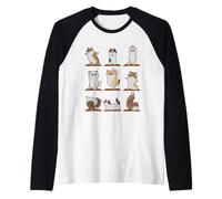 Munchkin Cat Yoga Raglan Baseball Tee