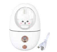 MUNEFE USB Facial Mist Sprayer, Portable Face Steamer, Face Humidifier Skin Care, White, Sprays & Mists, ABS, Moisturizing, 10 minutes, 35 milliliters, 3.7 volts