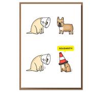 Mungo and Shoddy Solidarity Get Well Soon/Thinking of You Greeting Card