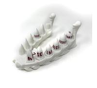 Munnygrubbers - Dragon Fang Dice Set with Jaw Dice Holder - Dragon Teeth Dice - 8 Piece D20 Set with D2 - Tabletop Roleplaying Games - Dungeons and Dragons - DND - D&D - (White/Red)