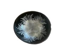 munufe Hand Painted Natural Coconut Key Bowl - Inkjet Printed Decorative Storage Dish for Hallway Entryway, Keys, Jewellery, Nuts, Candy (Silver)