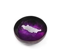 munufe Hand Painted Natural Coconut Key Bowl - Inkjet Printed Decorative Storage Dish for Hallway Entryway, Keys, Jewellery, Nuts, Candy (Purple)