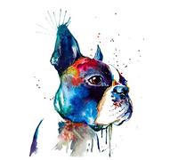 Munxag Paint By Numbers Kits Boston Terrier Colorful Cute Pet Dog Paint By Numbers For Adults And Kids Diy Oil Painting Gift Kits