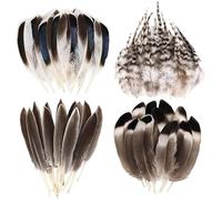 Muorruo 120 Pieces Natural Feathers, Small Bulk Pack, for DIY Crafts, Hats, Weddings, Carnival, Home Parties, Decorations, Mixed Feathers for Dreamcatcher Crafting