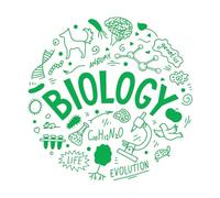 Mural and Wall Vinyl Decal Biology Evolution Life Anatomy Genetics Science 81x82.8cm Removable Without Leaving Glue Extra Large Green