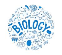 Mural and Wall Vinyl Decal Biology Evolution Life Anatomy Genetics Science 81x82.8cm Removable Without Leaving Glue Extra Large Blue